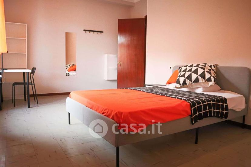 Stanza in Via Tigellio 24 — foto 13 di 22