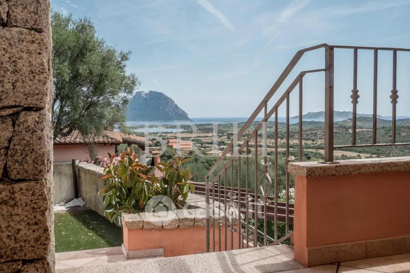 Villa in Via Marghine — foto 42 di 59