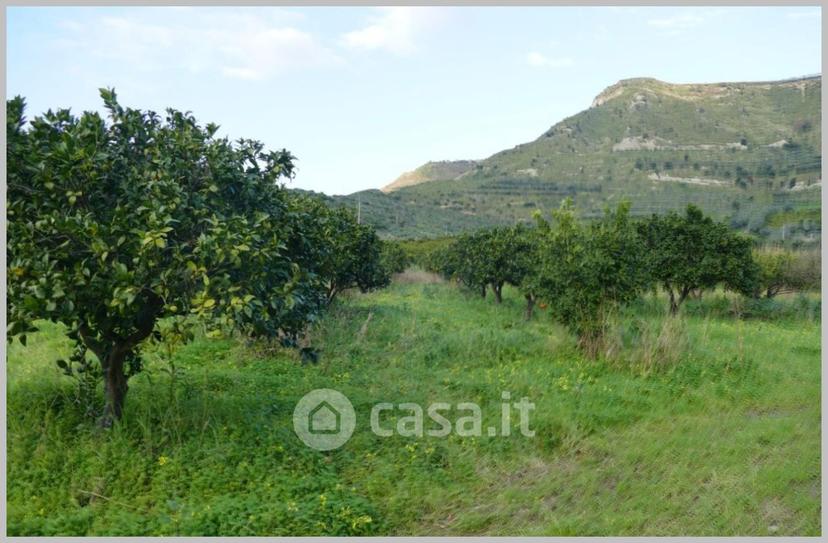 Appartamento in Corso Umberto I — foto 15 di 32