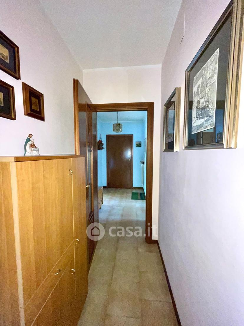 Quadrilocale in Viale delle Mimose — foto 21 di 21
