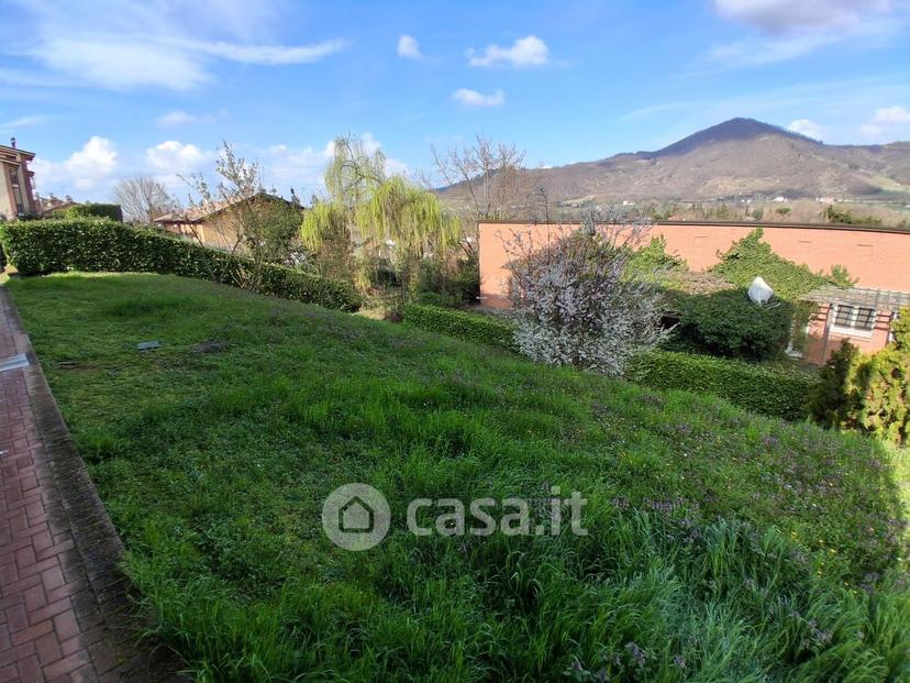 Bilocale in Via delle Ortensie — foto 29 di 34