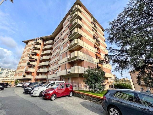 Trilocale in Via Luigi Rizzo — foto 35 di 40