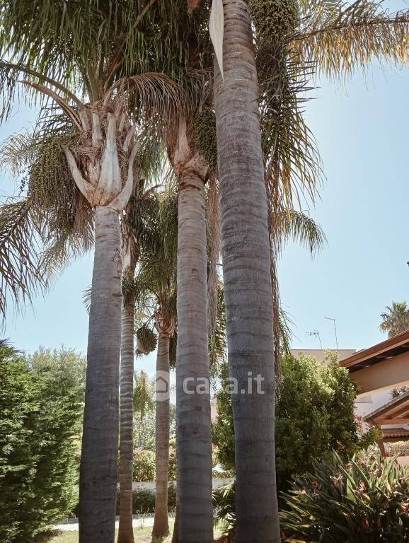 Villa in Contrada Vento — foto 11 di 31