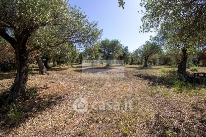 Villa in Strada Vicinale Salondra 78 — foto 30 di 35