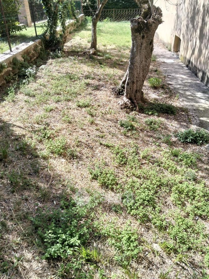 Appartamento in Località Belfiore — foto 25 di 43