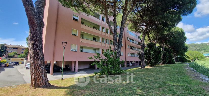 Appartamento in Via Tino Paggi 30 — foto 15 di 54