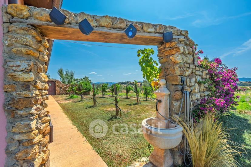 Villa in Colle di Lupo — foto 2 di 18