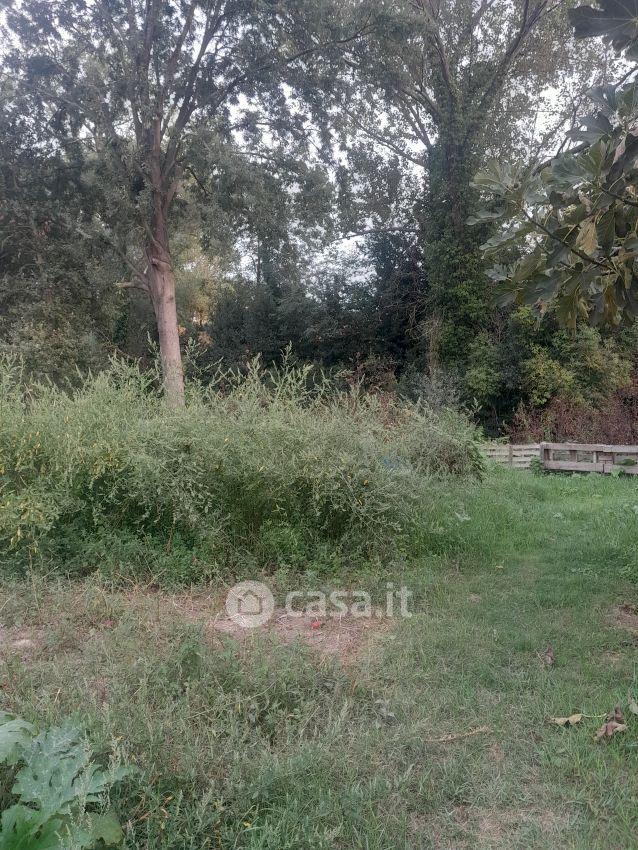 Quadrilocale in Viale Giulio Cesare — foto 24 di 29