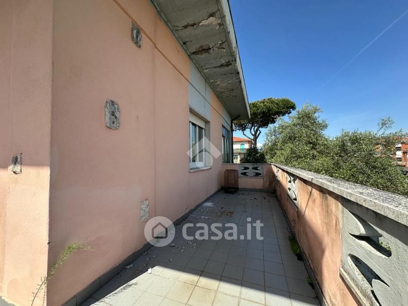 Trilocale in Via delle Pinete 50 — foto 25 di 33