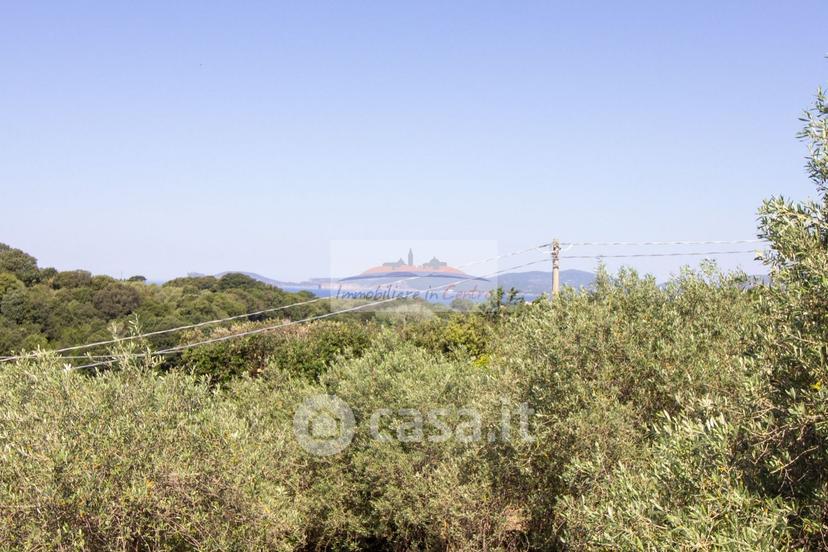 Villa in Strada Vicinale Salondra 78 — foto 34 di 35