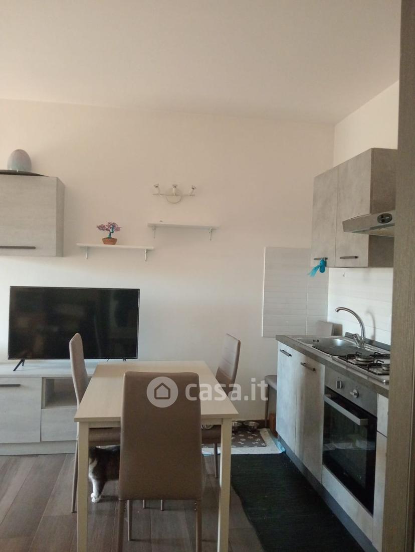 Bilocale in Via Luciano Raschio — foto 9 di 14