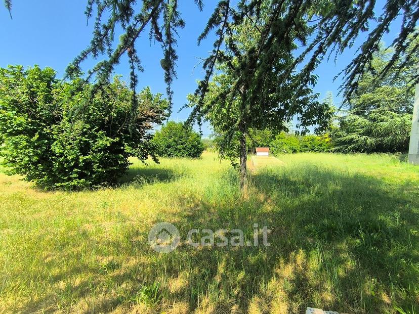 Villa in Località Colle — foto 38 di 111
