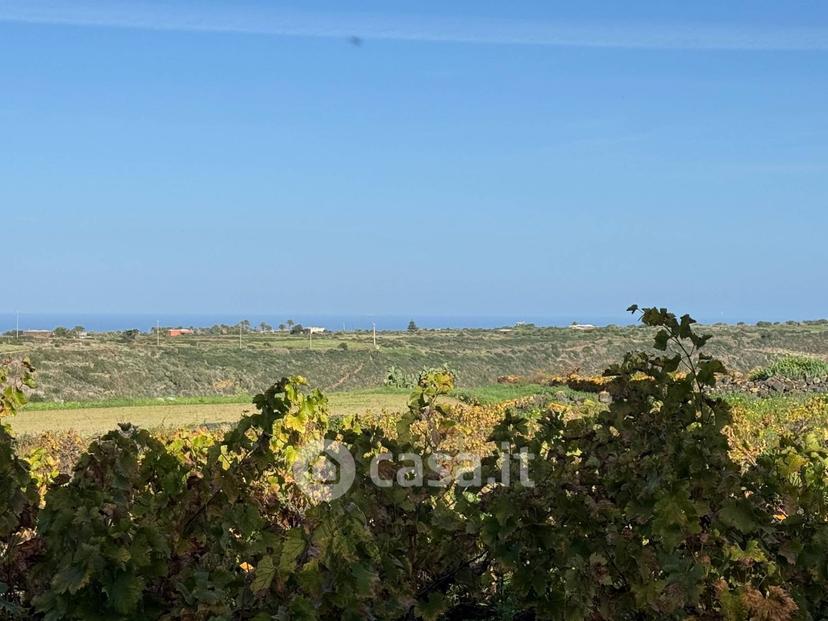 Villa in Via San Vito — foto 38 di 38