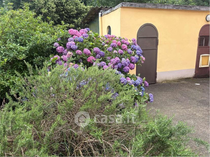 Trilocale in Via Giuseppe Mazzini — foto 24 di 25