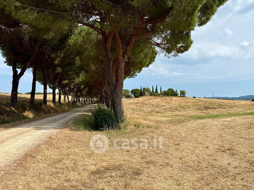 Villa in Strada Provinciale Sant'Andrea — foto 3 di 15