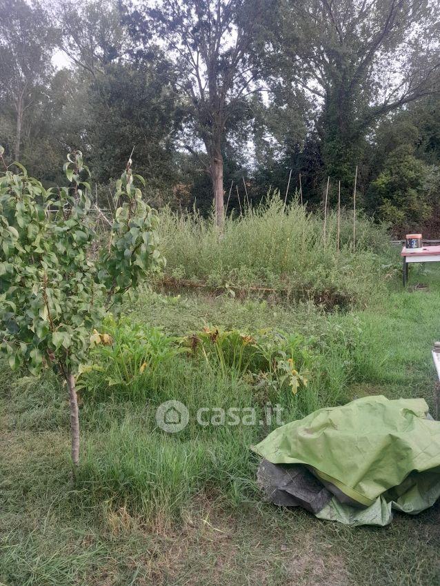 Quadrilocale in Viale Giulio Cesare — foto 7 di 29