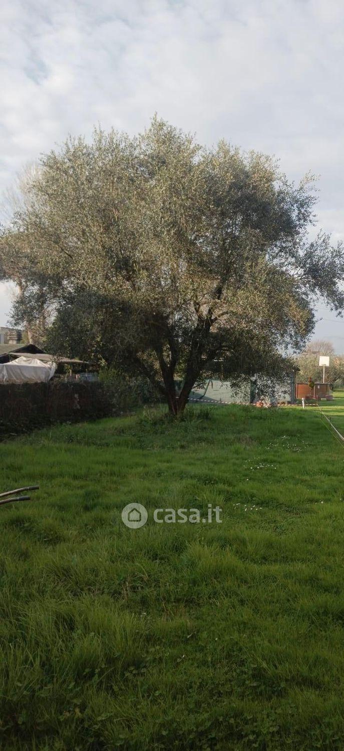 Appartamento in Via Tito Strocchi — foto 17 di 20