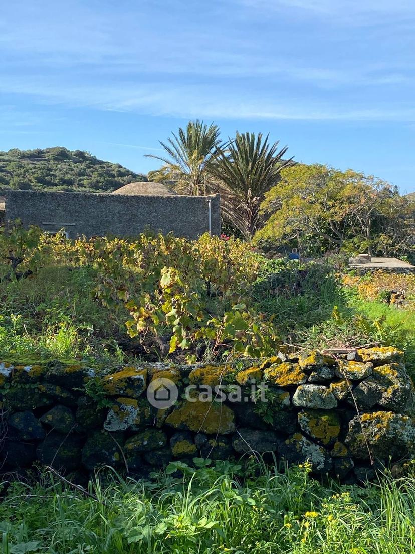 Villa in Via San Vito — foto 12 di 38