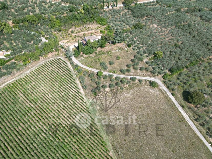 Villa in Via degli Ulivi — foto 3 di 20