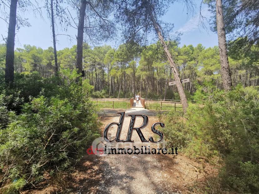 Trilocale in Contrada Le Dune 3 — foto 56 di 60