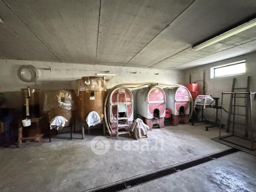 Villa in Viale Cristoforo Colombo 43 — foto 15 di 53