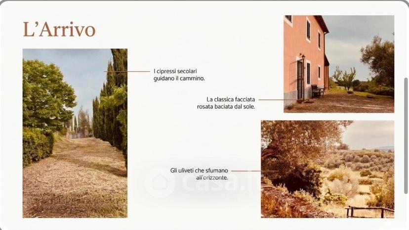 Villa in Pian delle Pozze — foto 12 di 12