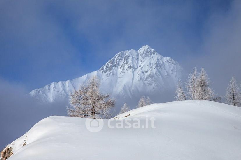 Trilocale in Via Panoramica 26 — foto 25 di 39