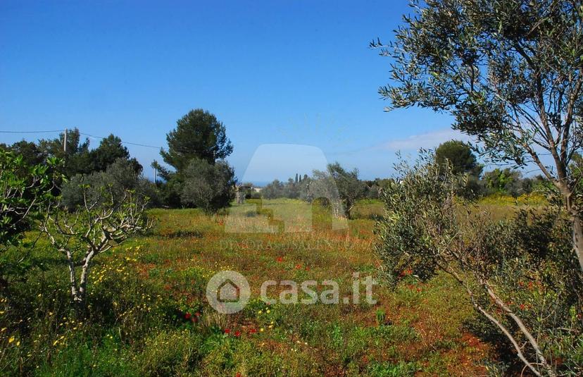 Villa in Contrada Cantarossi — foto 33 di 44