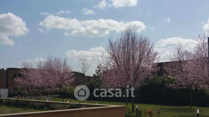 Villa in Località Le Muracce — foto 3 di 8