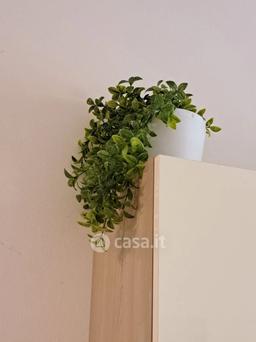 Bilocale in Località Fornaci 12