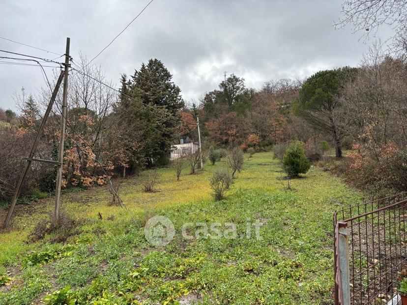 Villa in Contrada Dingoli — foto 7 di 36