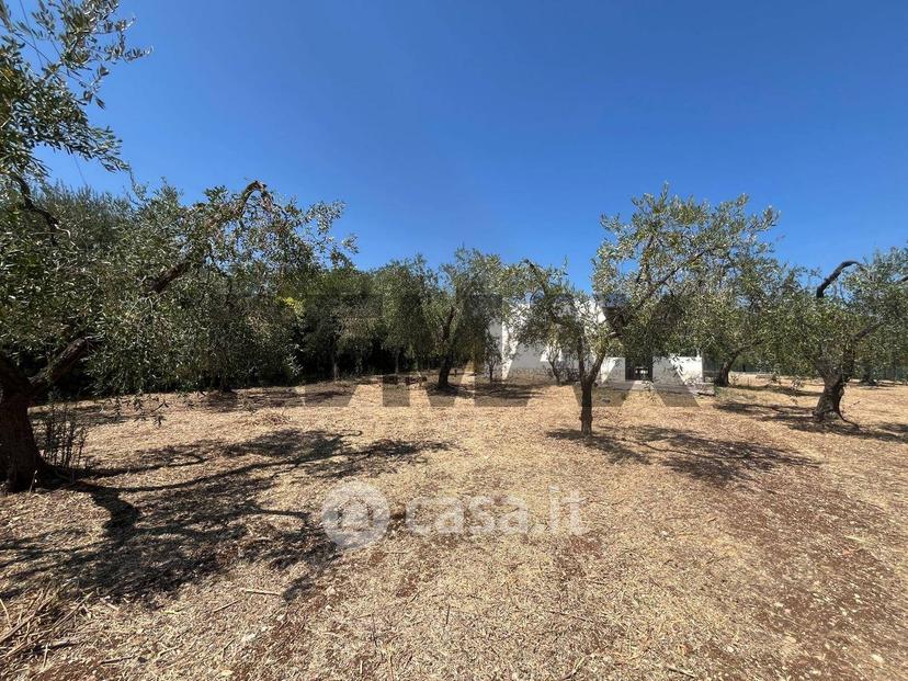 Villa in Località Spacco 1 — foto 18 di 31