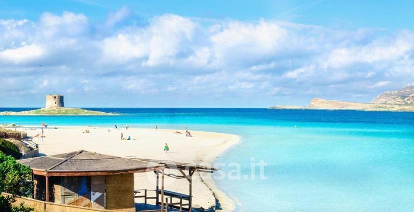 Bilocale in Country Paradise — foto 7 di 25
