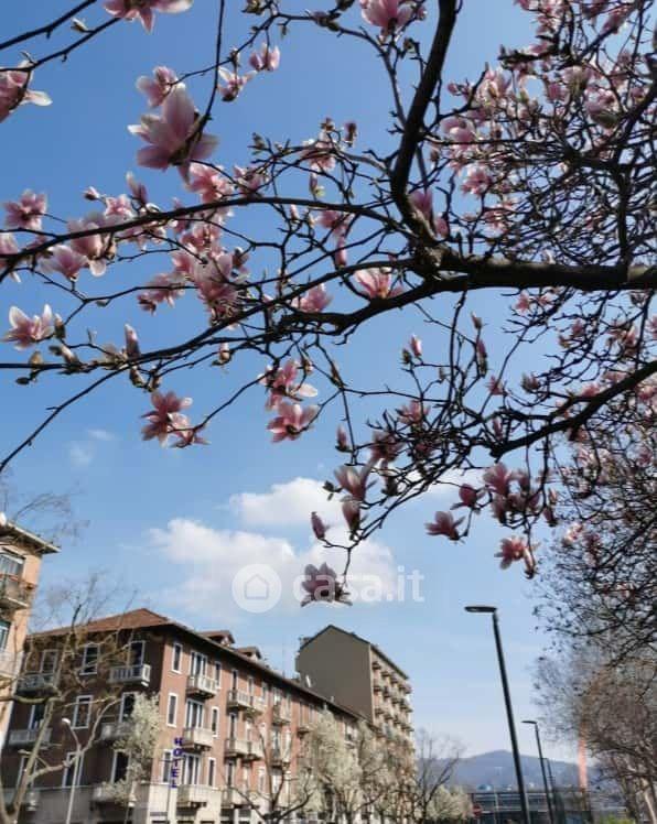 Stanza in Piazza Tancredi Galimberti 25 — foto 10 di 19
