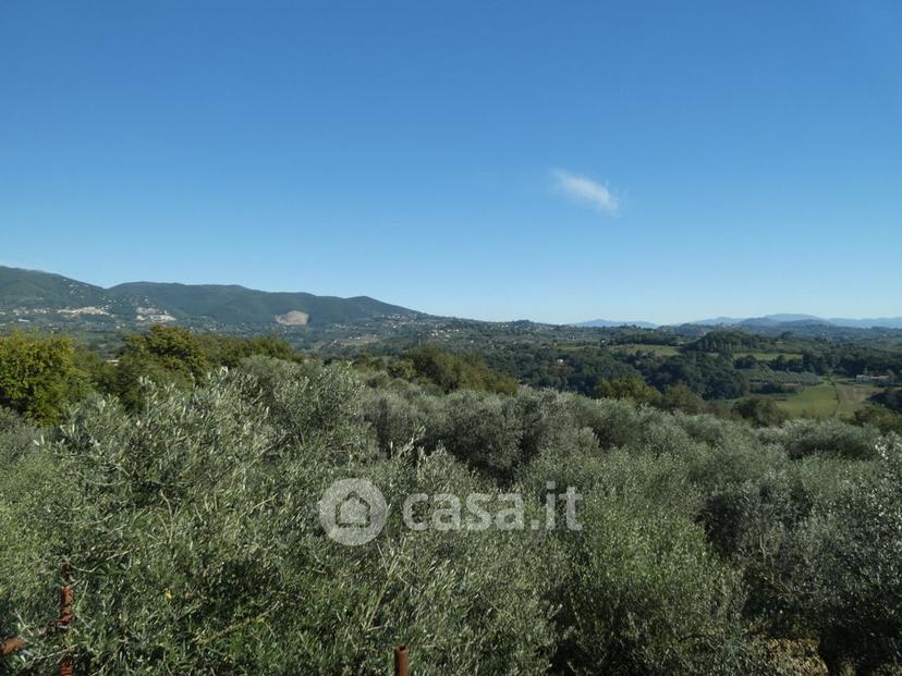 Villa in Strada Regionale 313 — foto 9 di 40