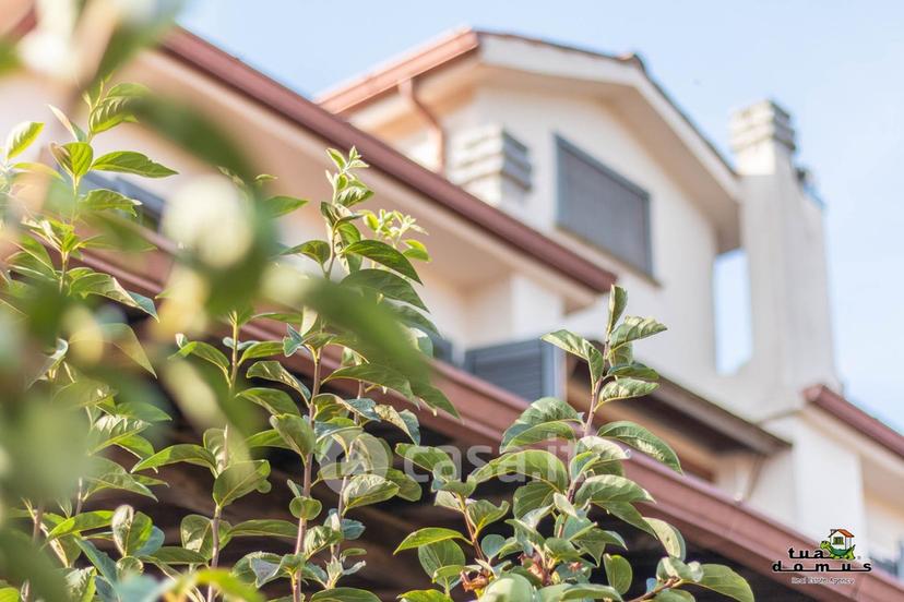 Villa in Via degli Ulivi 2
