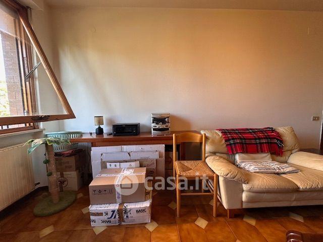 Trilocale in Via Amerigo Vespucci — foto 11 di 21
