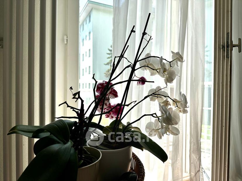 Appartamento in Via Wagner 16 — foto 29 di 55