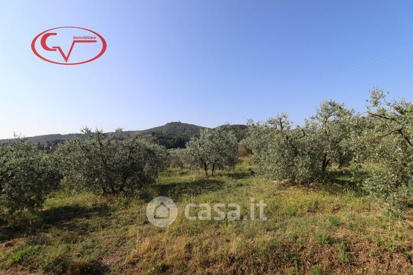 Villa in Via delle Muricce — foto 11 di 43