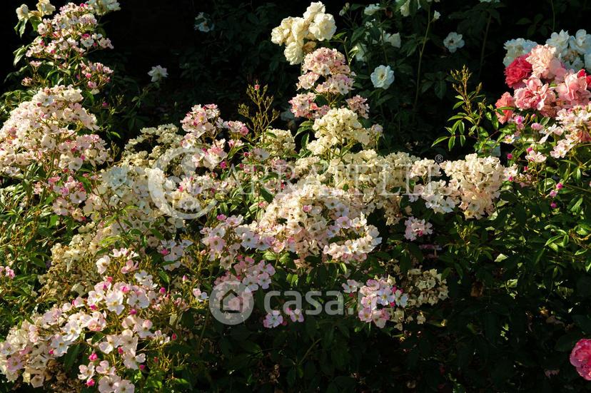 Villa in Località Sant'Alloro 52 — foto 42 di 58