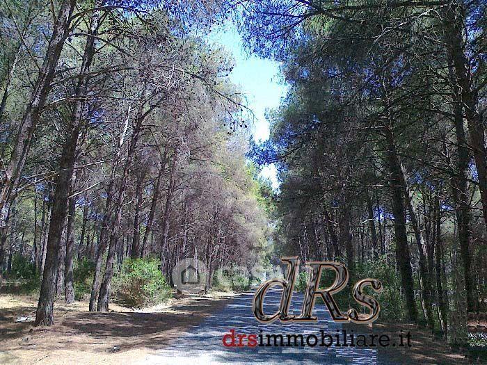 Trilocale in Contrada Le Dune 3 — foto 54 di 60