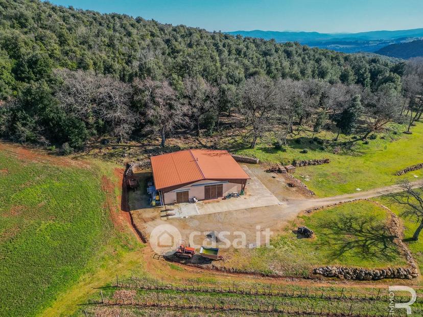Villa in Località San Donato — foto 30 di 43