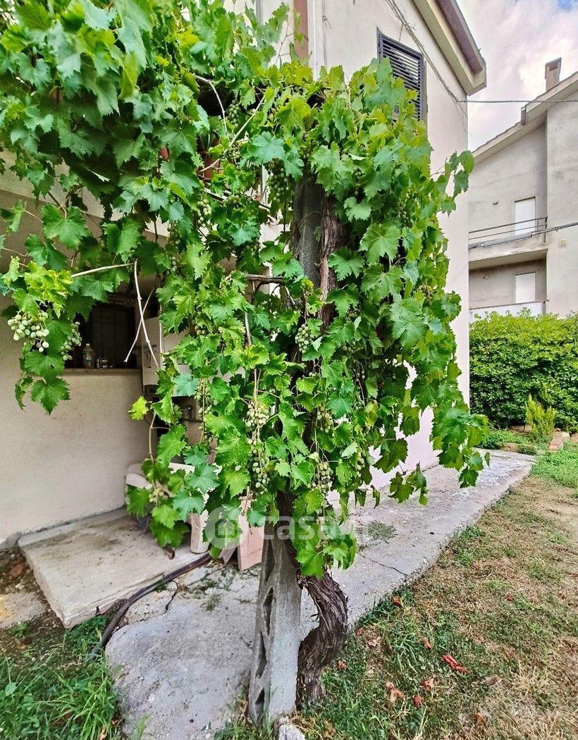 Villa in Via Serafica — foto 29 di 49