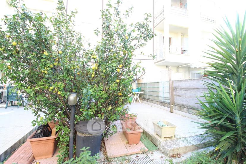 Trilocale in Via Livornese — foto 24 di 39