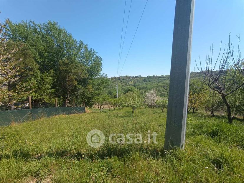 Villa in Via Torre Alfieri — foto 21 di 29