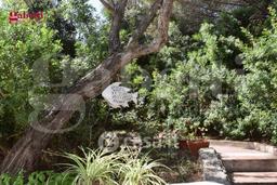 Villa in Via Li Nibbari - Località Portobello 1