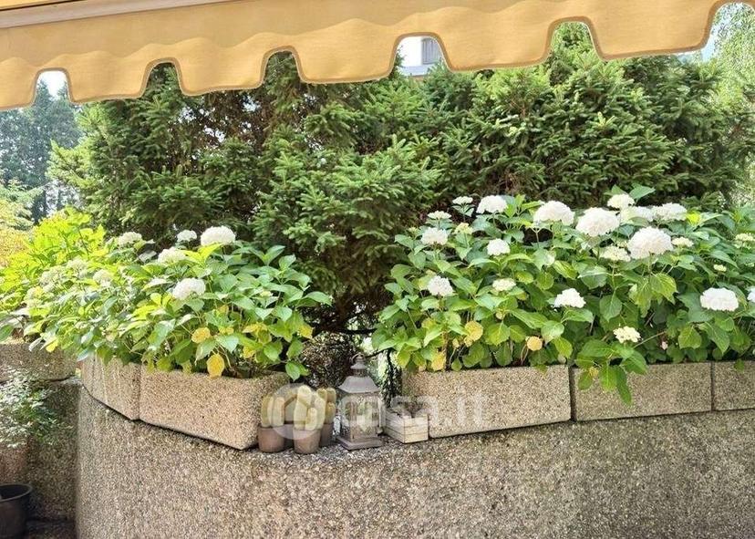 Trilocale in Via Giuseppe Mazzini — foto 64 di 65