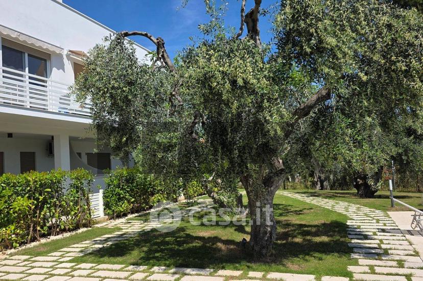 Monolocale in Contrada Pilone del Monaco 20 — foto 10 di 31
