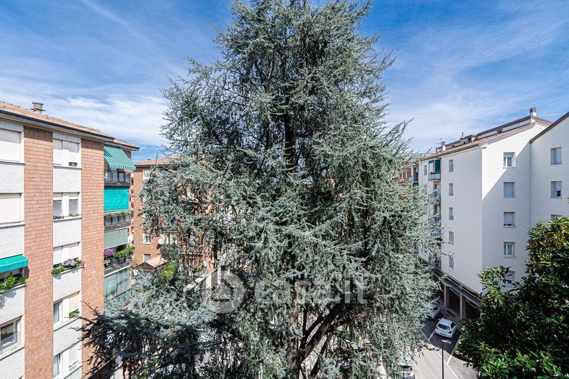 Trilocale in Via Domenico Zampieri 19 — foto 19 di 33