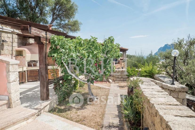 Villa in Via Marghine — foto 37 di 59